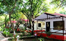 The Wilds Villa Gir Jungle Stay With Swimming Pool